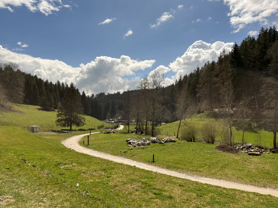 Ausblick Kinder &-Familienhotel Schlüchtmühle