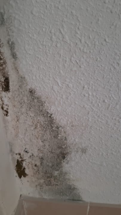 Zimmer Hotel & Apartments Casablanca