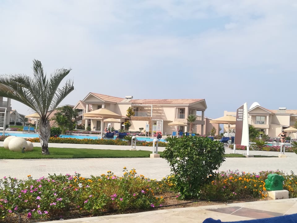 Gartenanlage Pickalbatros Sea World Resort - Marsa Alam