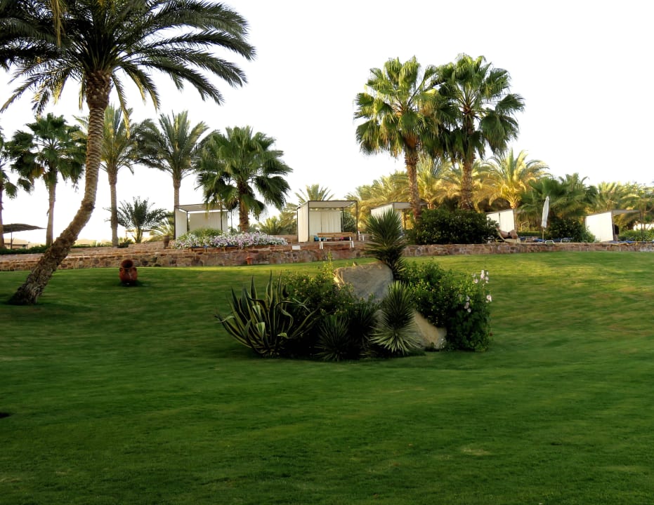 Wieder ein Kompliment an die Gärtner Steigenberger Coraya Beach - Adults only