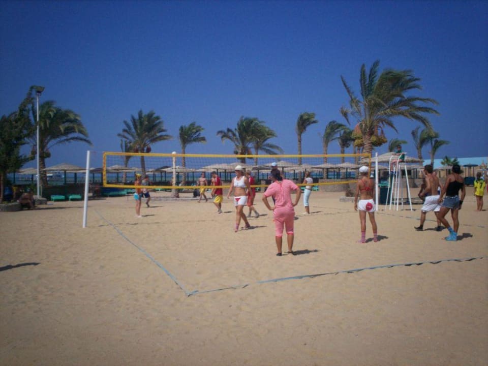 Animation vs. Guest Golden Beach Resort