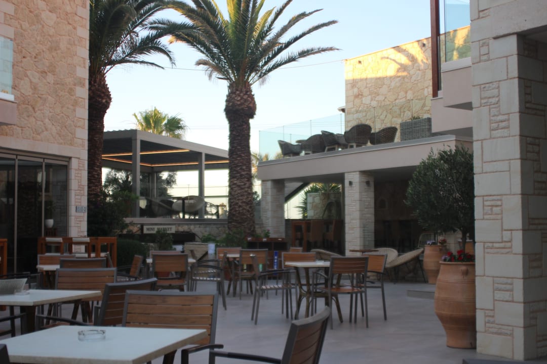 Gastro Cactus Beach