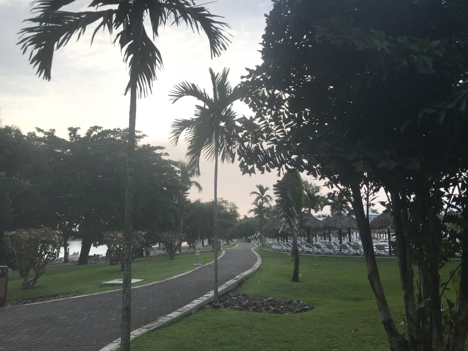 Gartenanlage Hotel Riu Negril