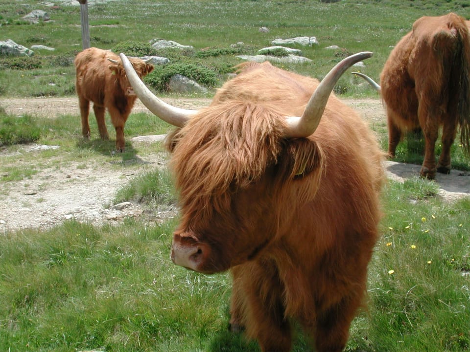 Sonstiges Berglandhotel Untertheimerhof