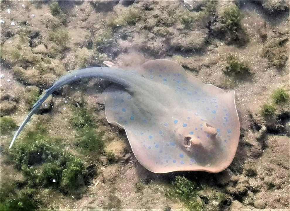 Sonstiges Cleopatra Luxury Resort Makadi Bay