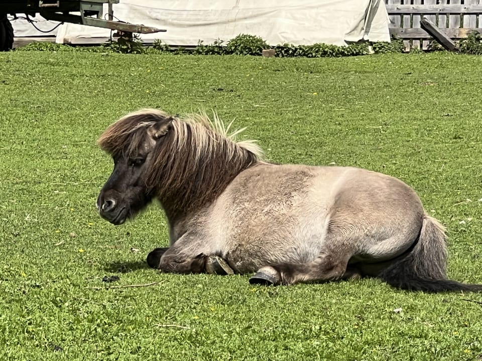 Sport & Freizeit Alphotel Tyrol