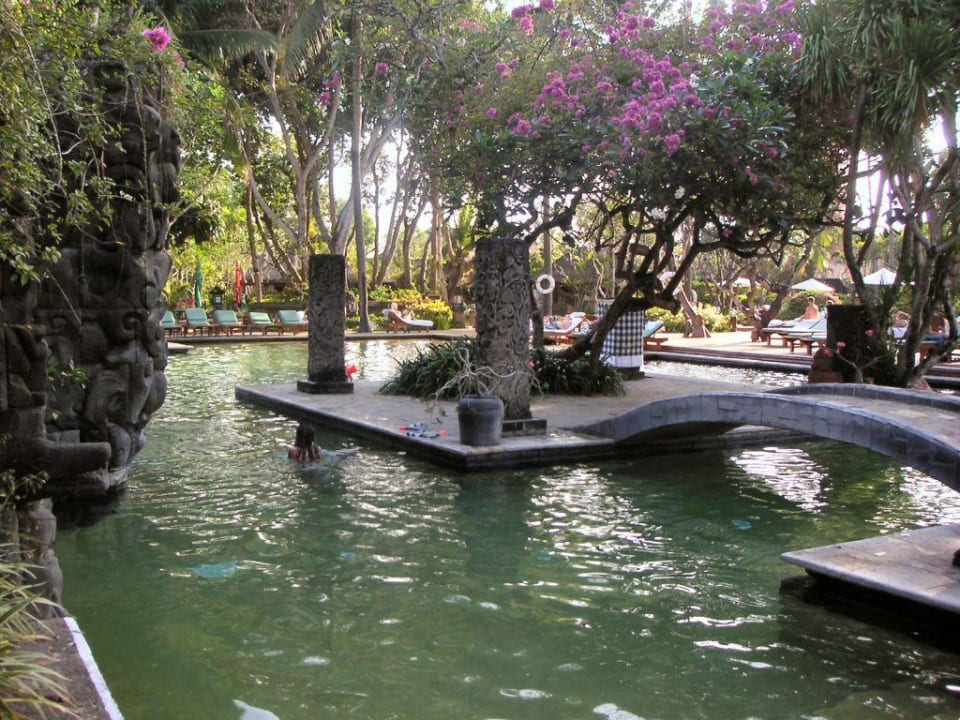 Pool Hyatt Regency Bali