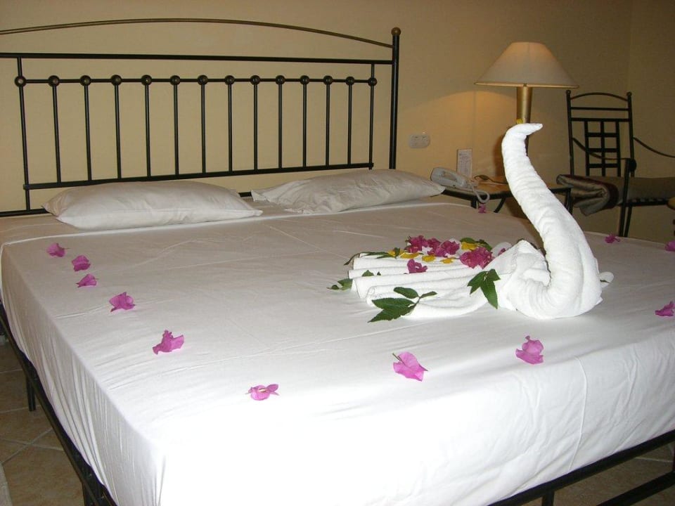 Schwan auf dem Bett Jaz Makadi Saraya Resort