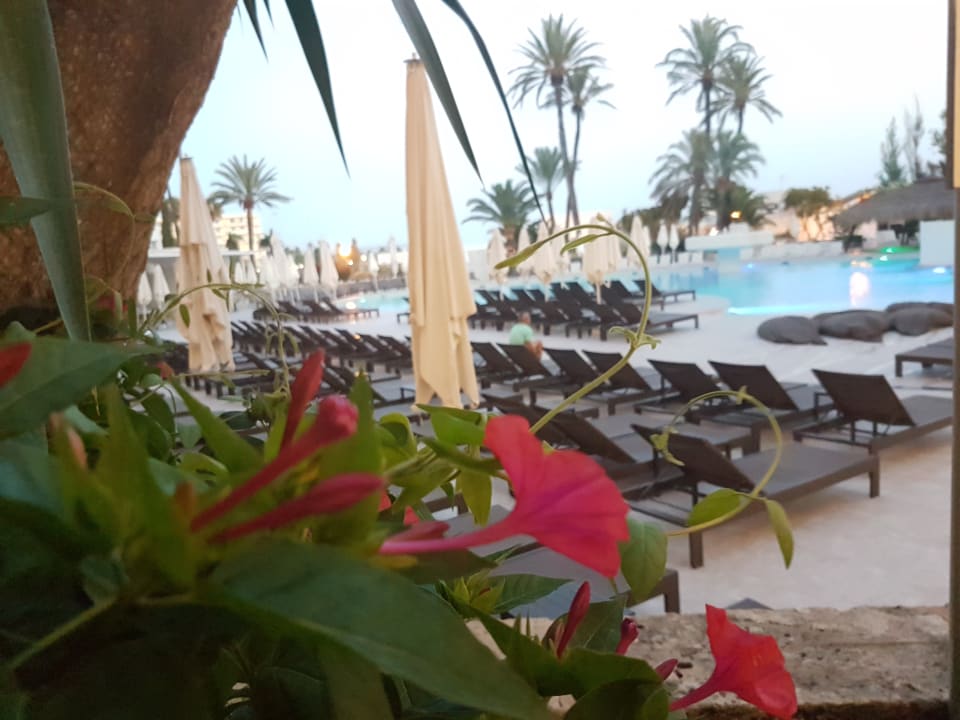 Pool BG Hotel Rei del Mediterrani Palace