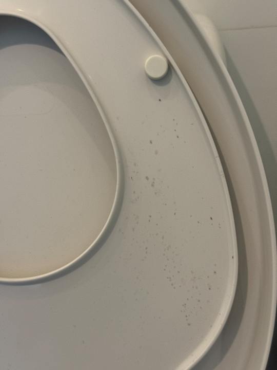 Zimmer Orchid Paradise Homes OPV 213