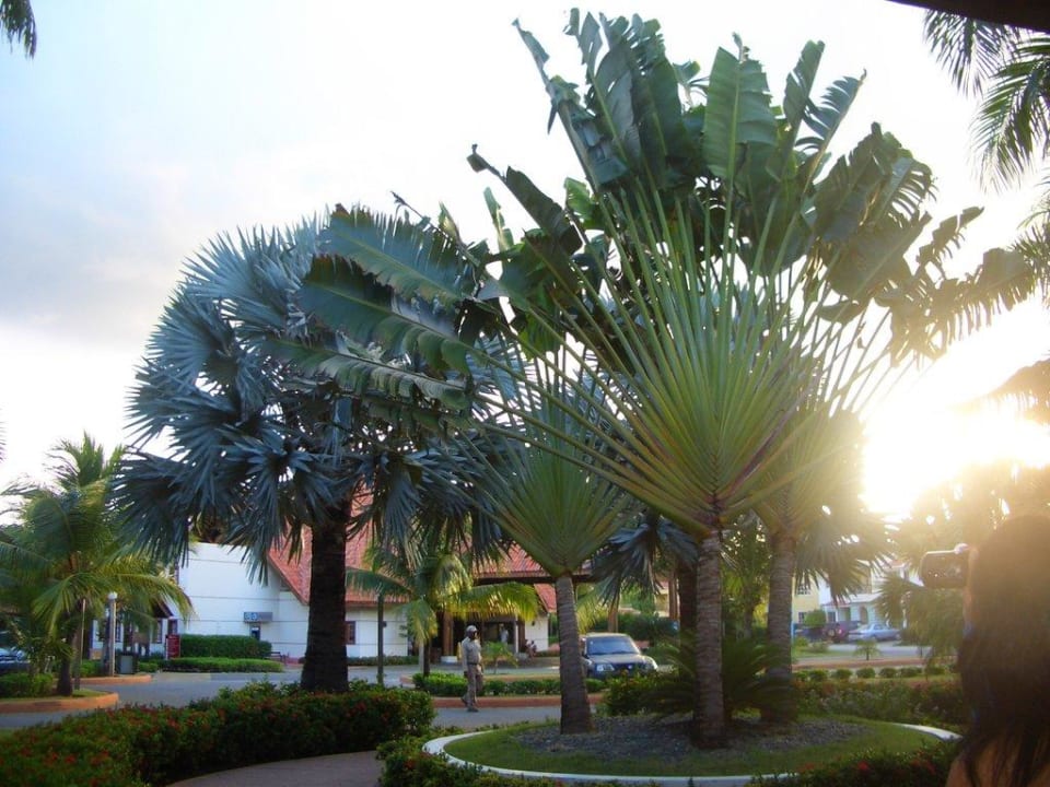 Fauna & Flora Villas Bavaro Resort & Spa