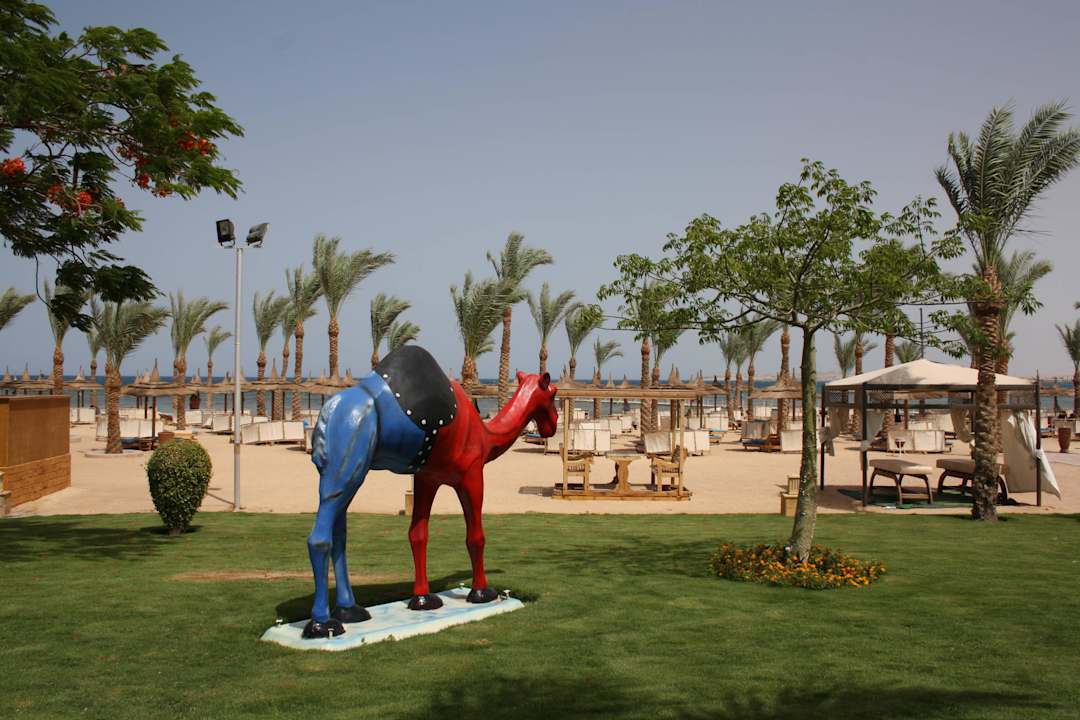 * Pickalbatros Palace Resort