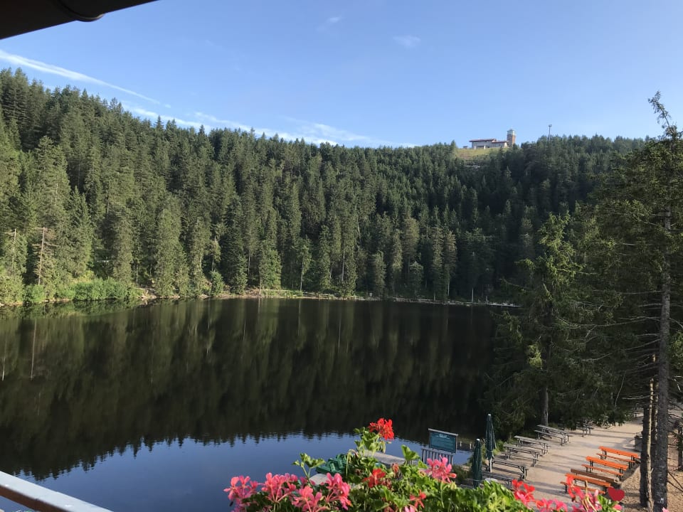Ausblick Berghotel Mummelsee