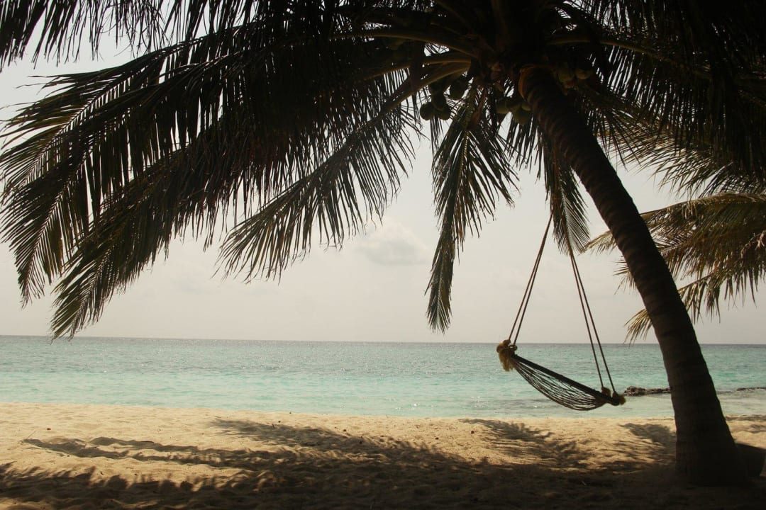 Hängematte an der Palme, Joanna & Pascal Summer Island Maldives