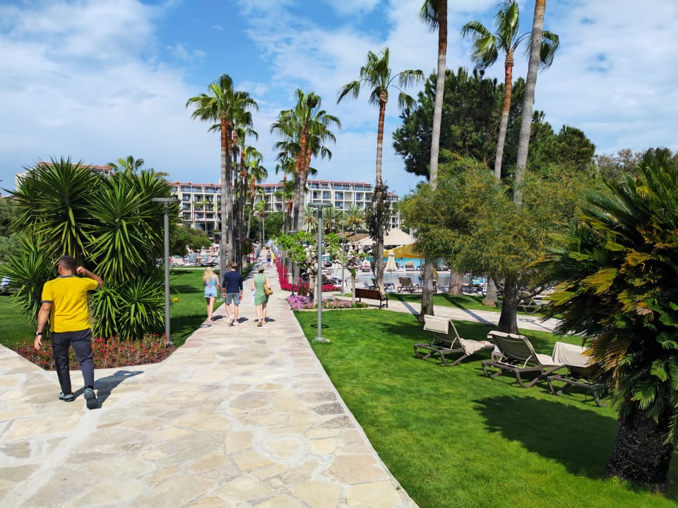 Gartenanlage Arum Barut Collection