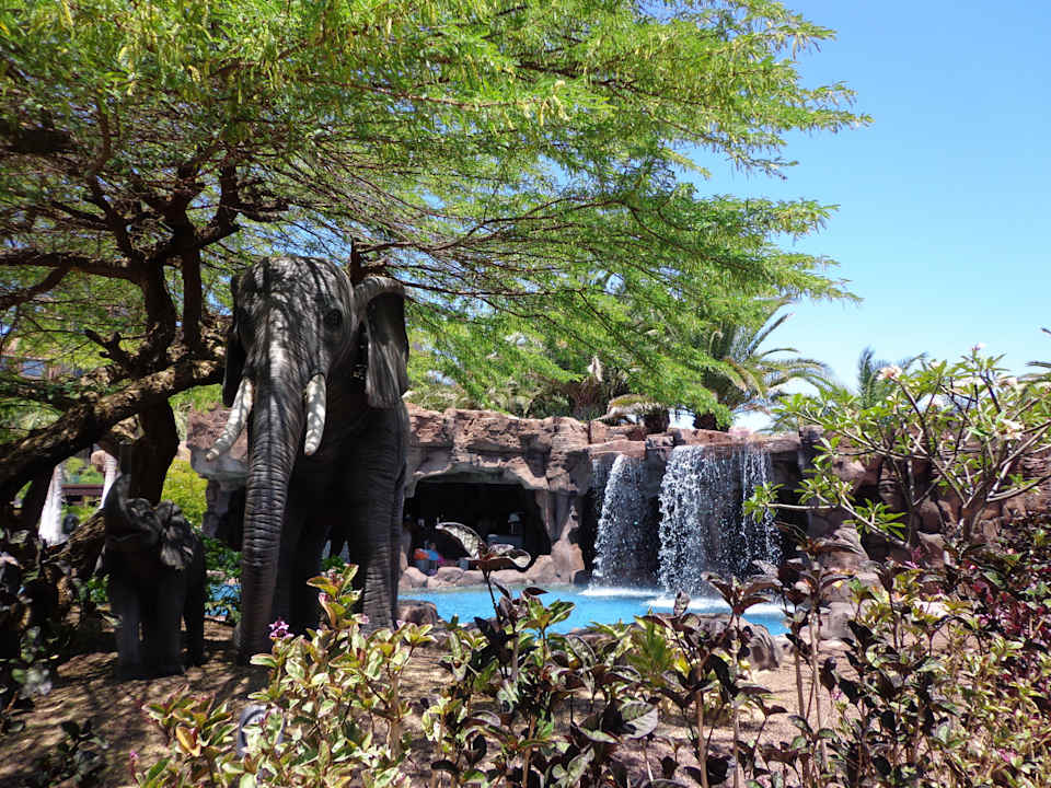 Draußen Lopesan Baobab Resort