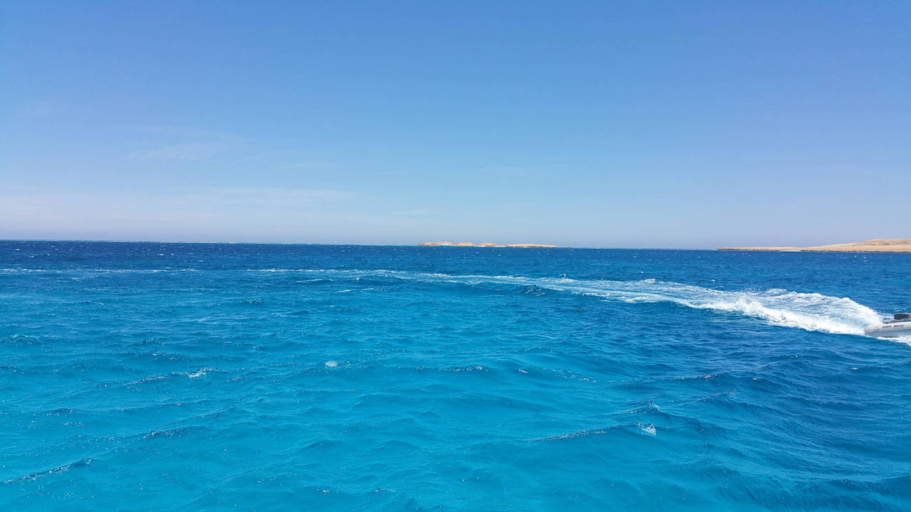 Morze Pickalbatros Palace Resort