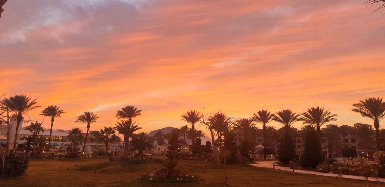 Gartenanlage Pickalbatros Dana Beach Resort - Hurghada