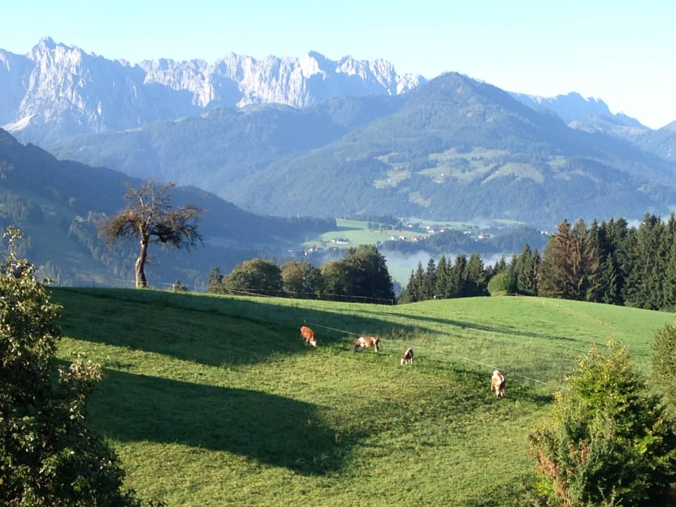 Der wilde Kaiser Wohlfühlresort Peternhof