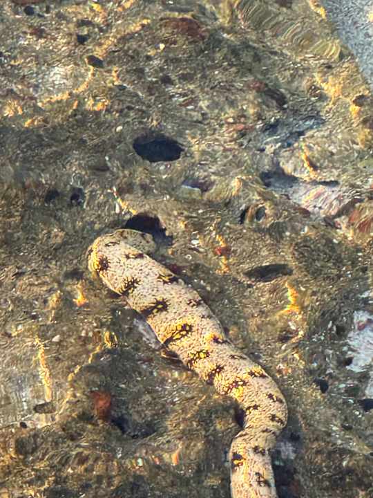 Strand Brayka Bay Resort