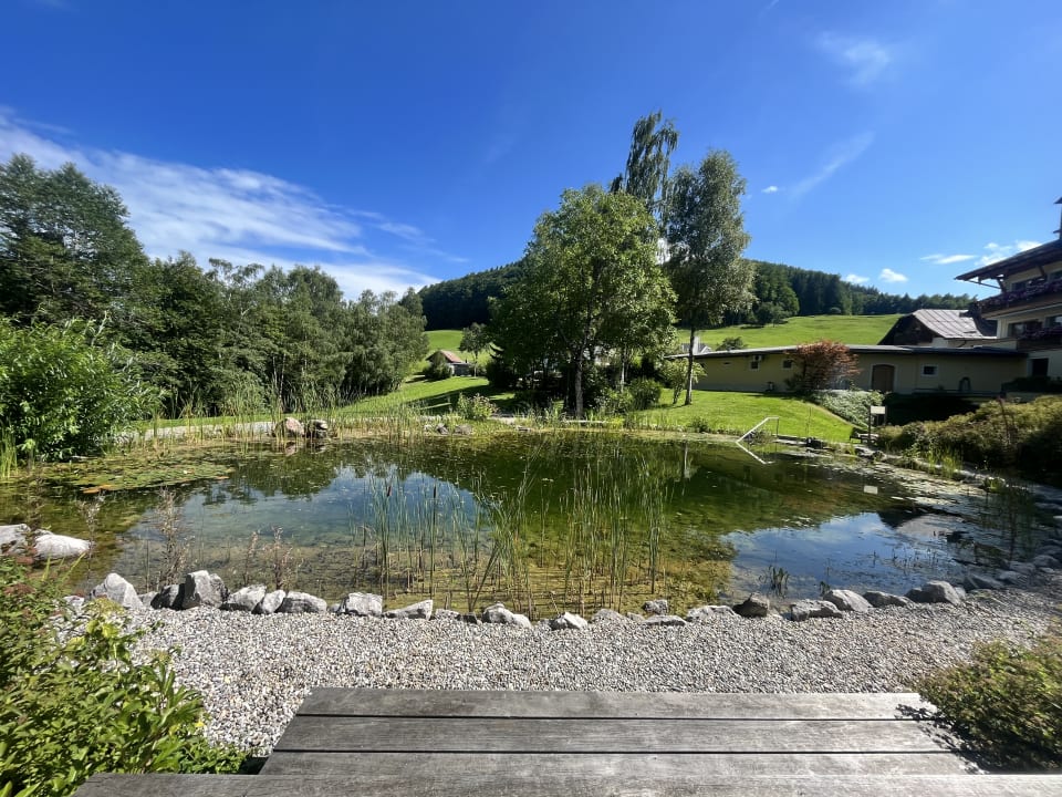 Pool Hotel Kranzbichlhof