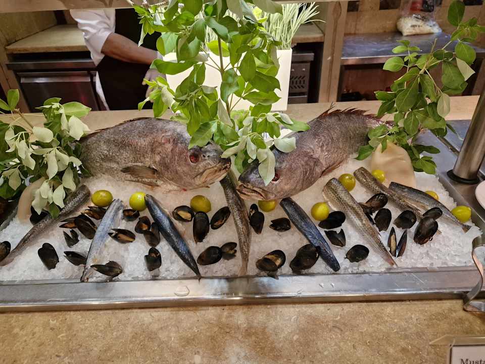 Gastro Makadi Spa - Adults only