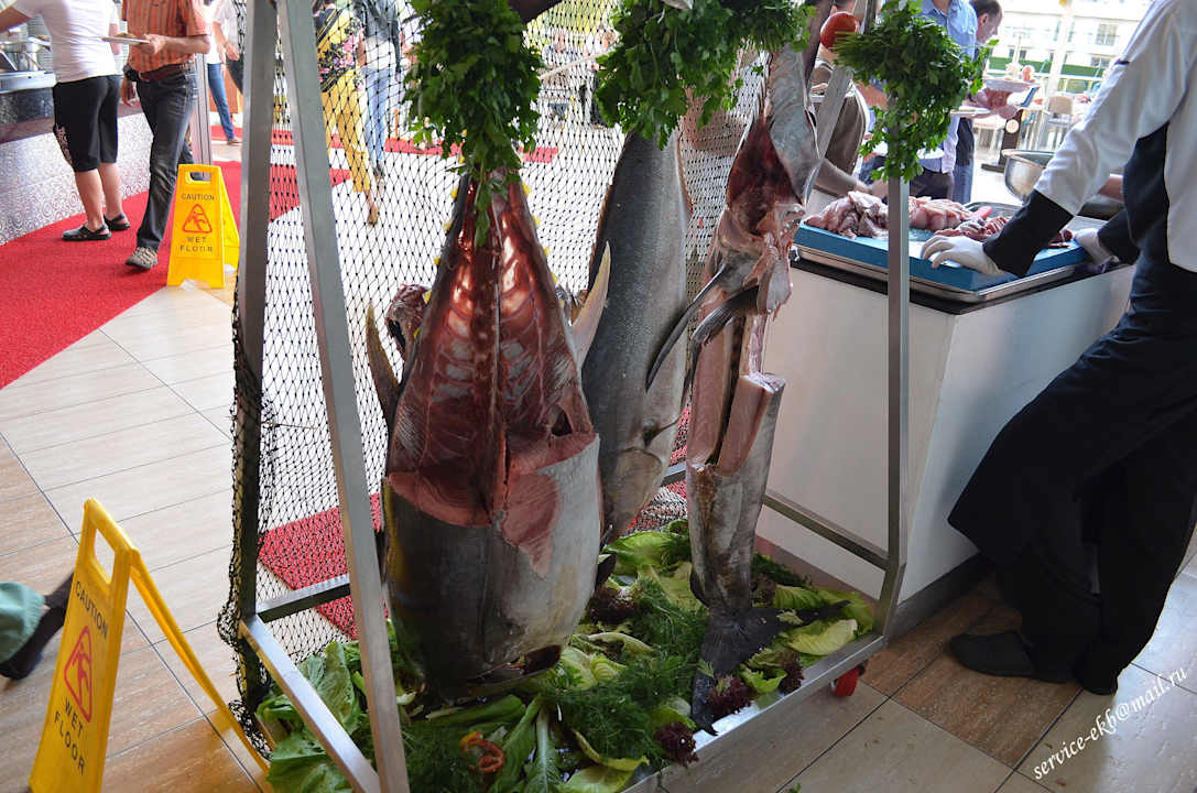 Delphin Imperial Hotel Delphin Imperial