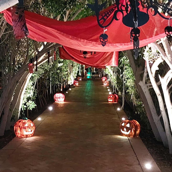 Sonstiges Fort Arabesque Resort, Spa & Villas