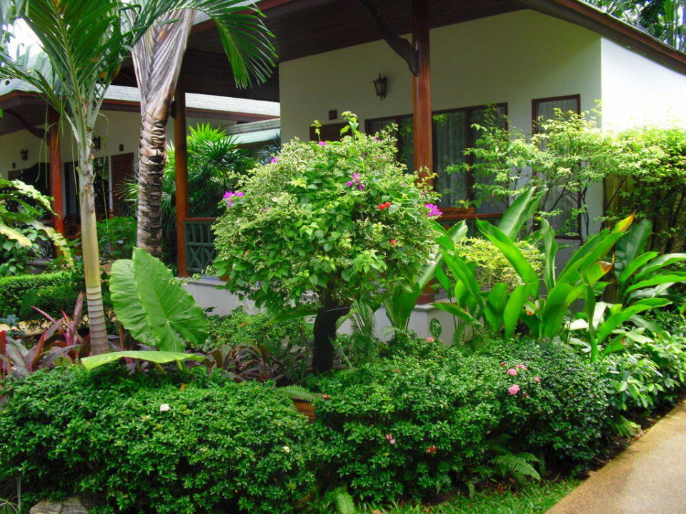 Garten mit Bungalow Banana Fan Sea Resort