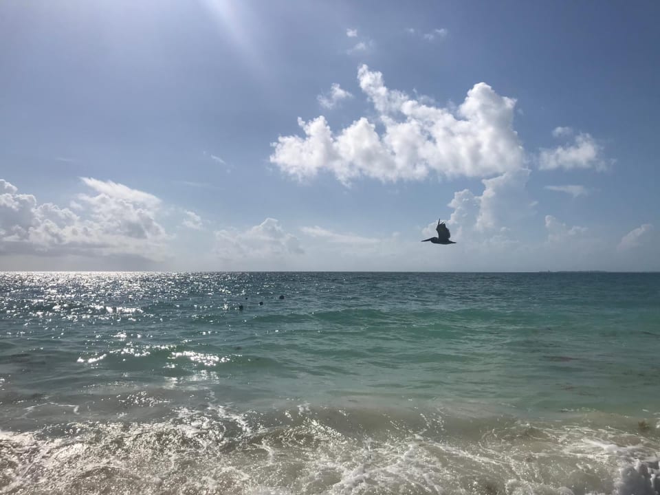 Strand Hotel Riu Dunamar