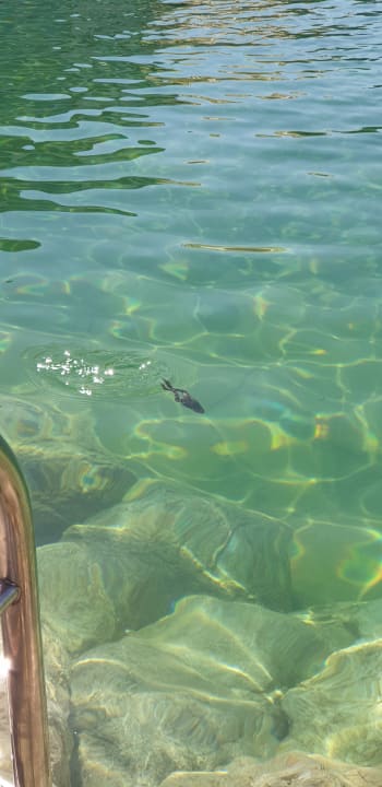 Pool Der Birkenhof - Spa & Genuss Resort