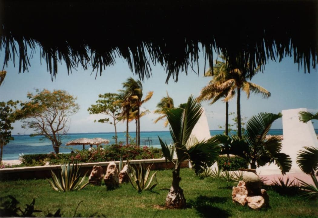 Snackbar Brisas Guardalavaca Hotel & Villas