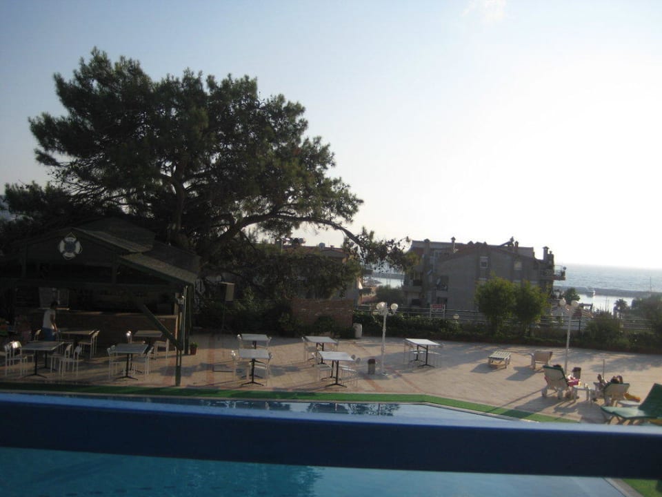 Бар Hotel Golden Day