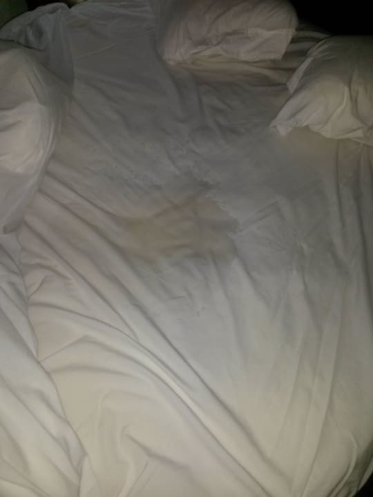 Nochmal Ehebett bei Regen. Wyndham Alltra Samana