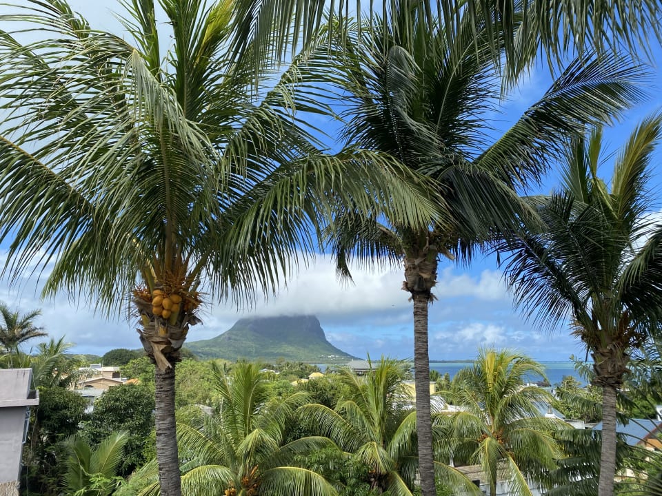 Ausblick Villa Seewoo