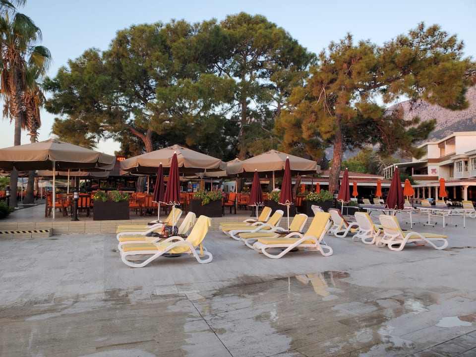 Pool Club Boran Mare Beach