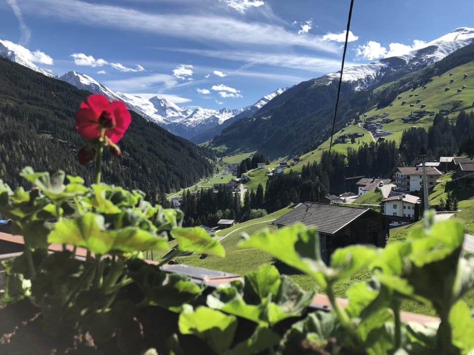 Ausblick Gästehaus Bergruh