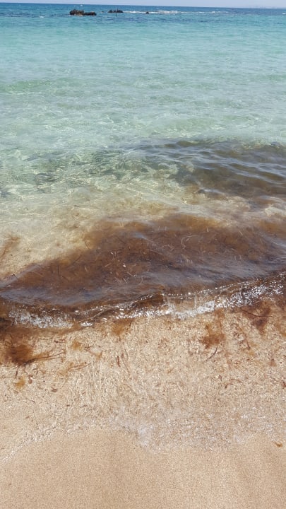 Meer Salamis Bay Conti Resort Hotel & Casino