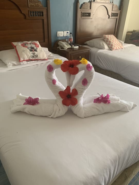 Zimmer Jasmine Palace Resort & Spa