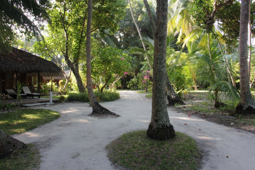 Gepflegte Gartenanlagen Kuramathi Maldives