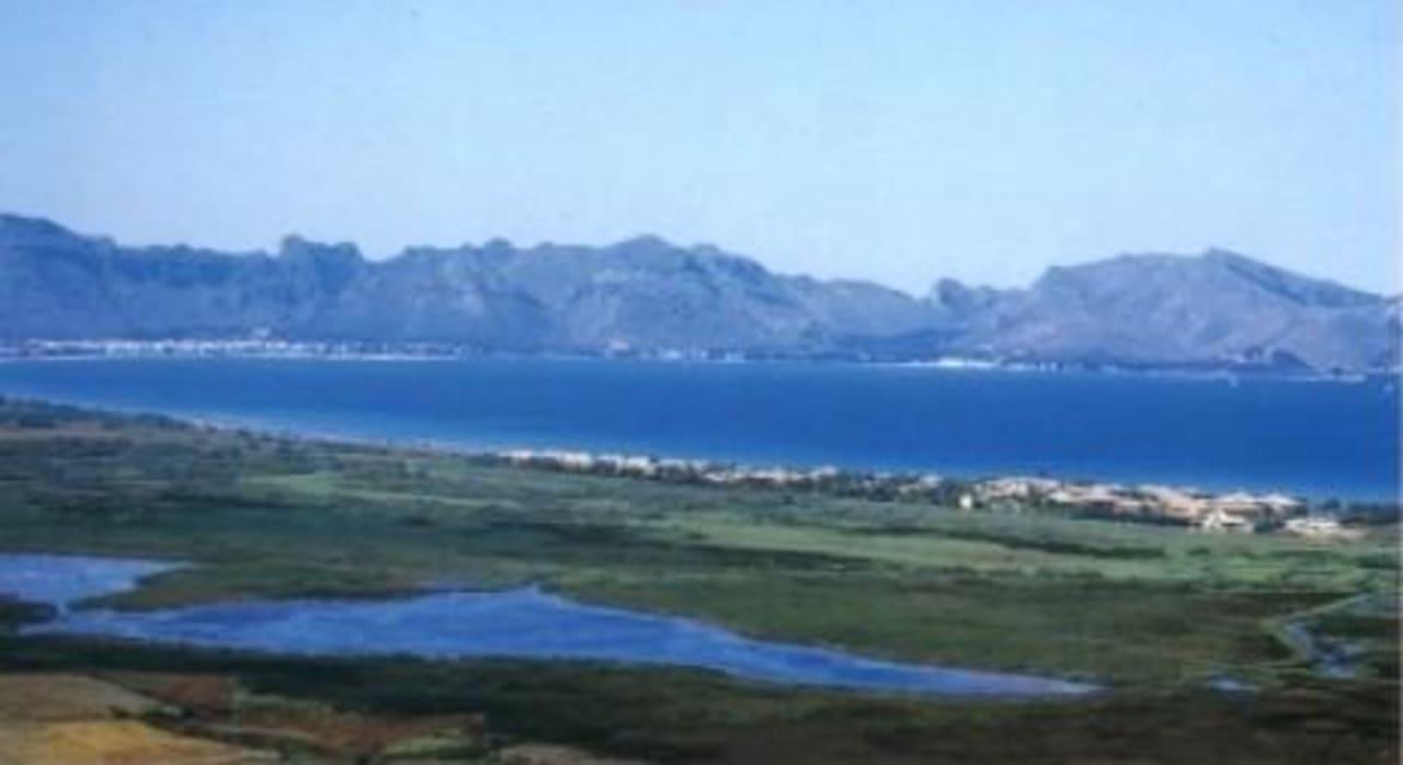 Naturschutzgebiet mit Pollentia Club Resort PortBlue Club Pollentia Resort & Spa