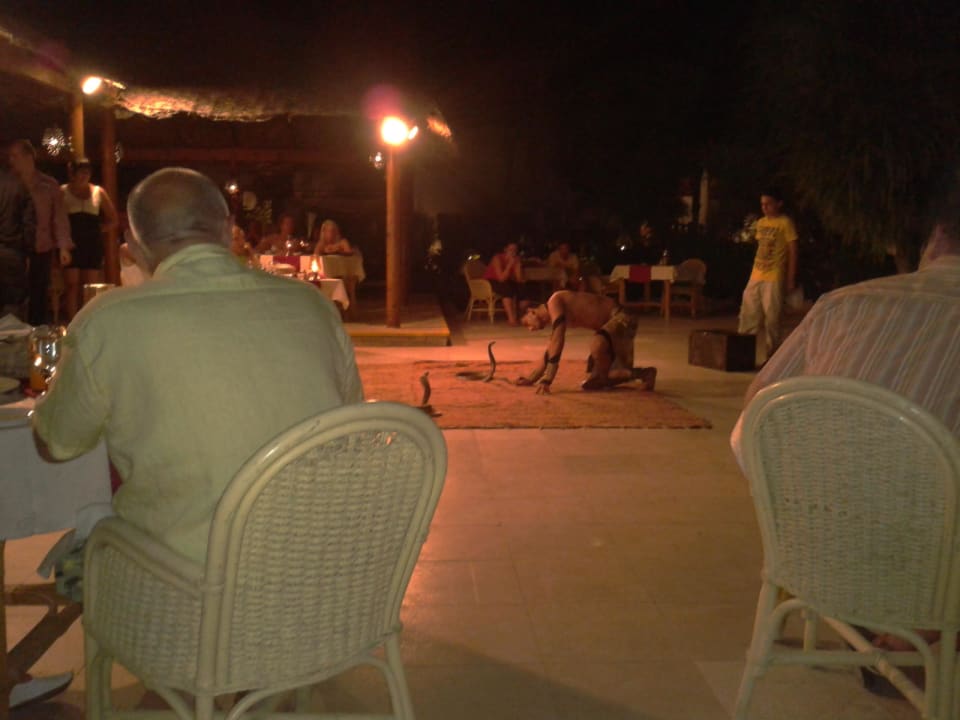 Oriental Show Ghazala Gardens