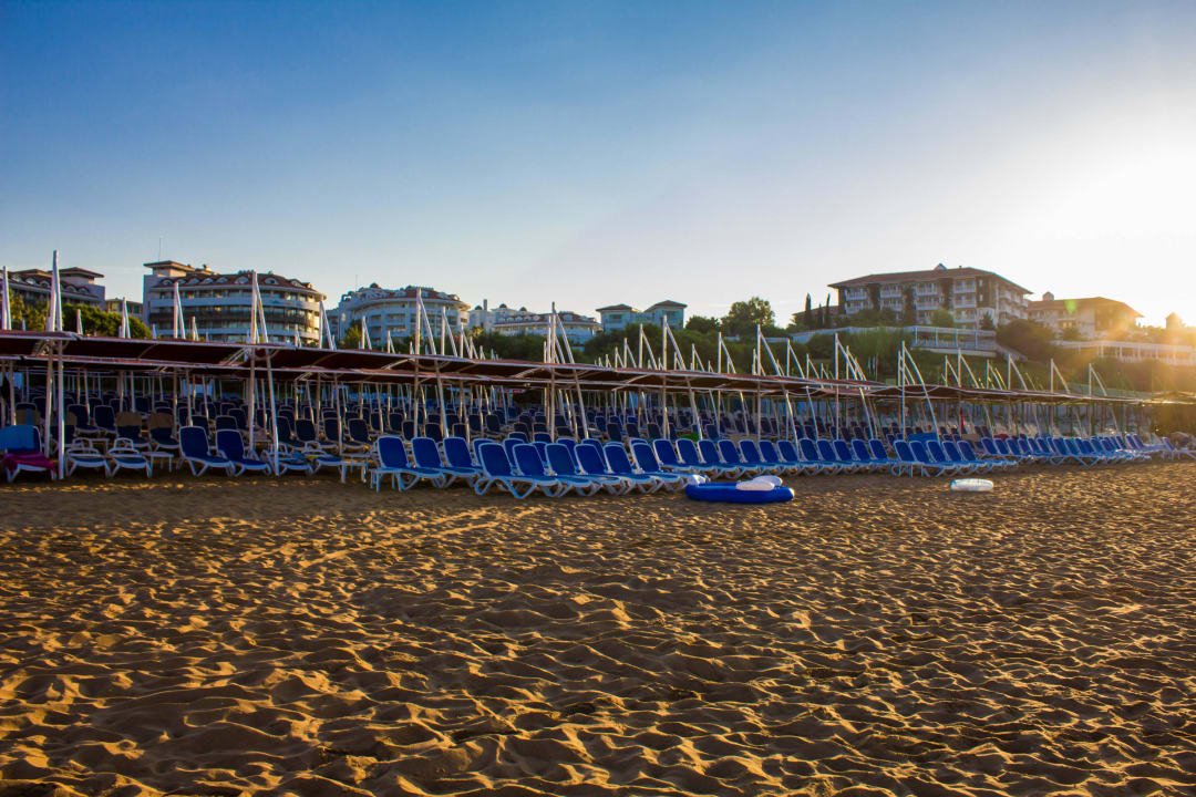 Hotel Alba Queen Alba Queen Hotel