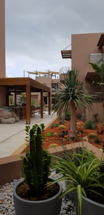 Gartenanlage Paralos Venus Suites