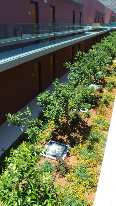 Sonstiges Harmony Boutique Resort