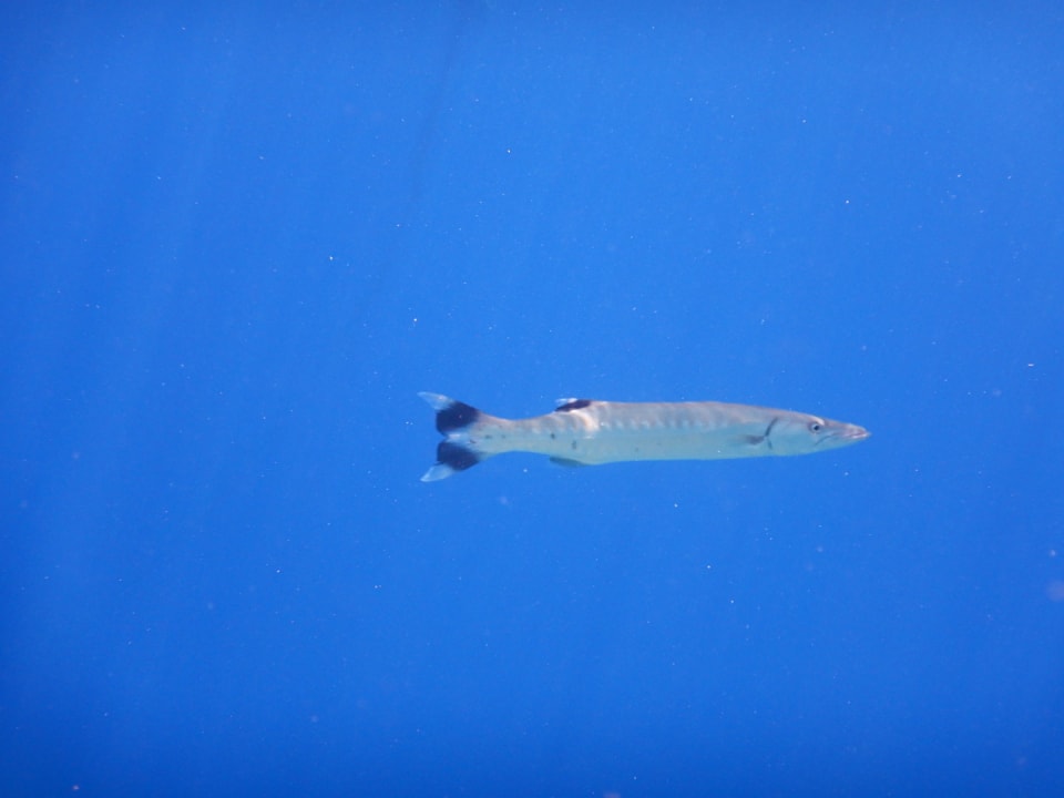 Sonstiges Makadi Spa - Adults only