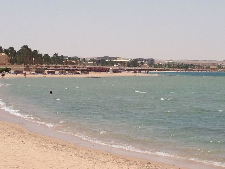 Klaes wasser  Cleopatra Luxury Resort Makadi Bay