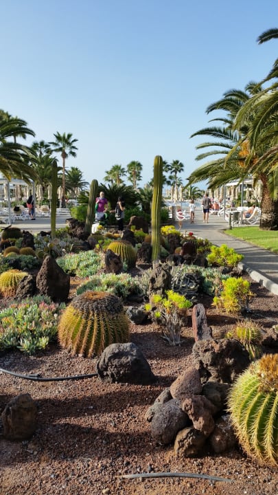 Gartenanlage Hotel Riu Gran Canaria
