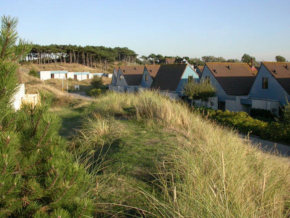 Centerparc Sea Spirit Zandvoort, Terrassenaussicht Center Parcs Park Zandvoort