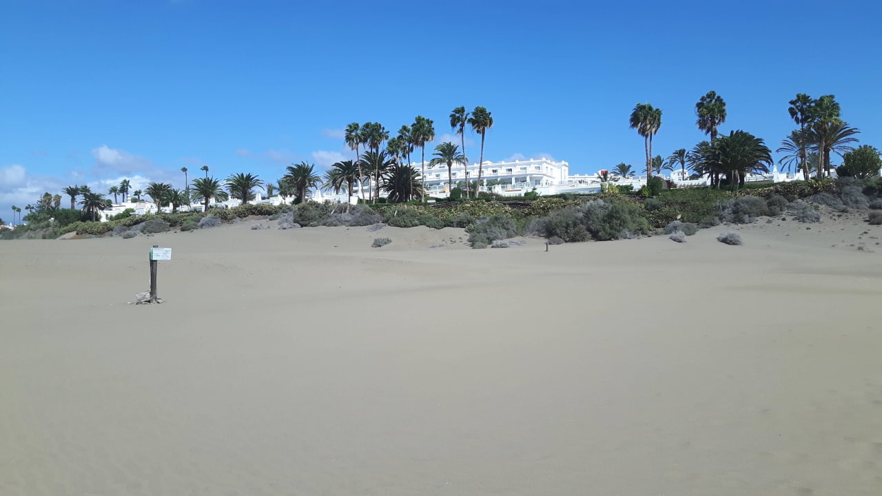 Blick auf Hotel von Küstendünen aus Hotel Riu Palace Maspalomas Adults Only